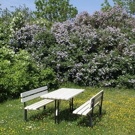 Klockaregarden I Hoegsrum Hogsrum Zewnętrze zdjęcie