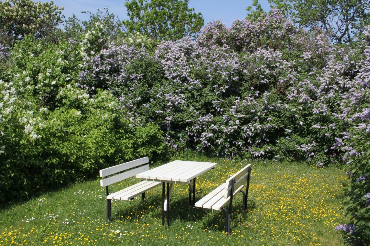 Klockaregarden I Hoegsrum Hogsrum Zewnętrze zdjęcie